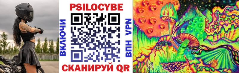 цена наркотик  Холм  Псилоцибиновые грибы Cubensis 